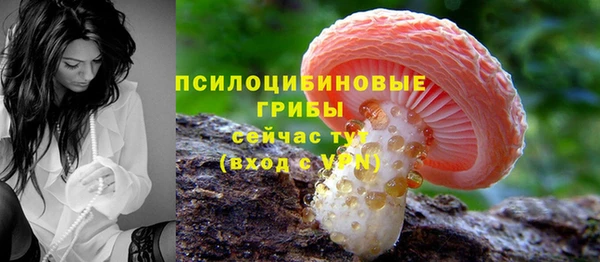 сатива Абдулино