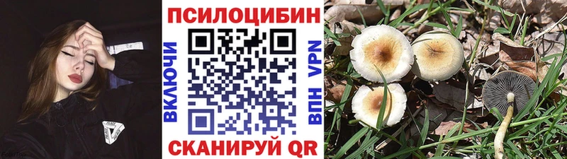 мега ССЫЛКА  Иланский  Псилоцибиновые грибы MAGIC MUSHROOMS 